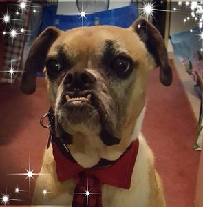 Meet your Posher, Elia